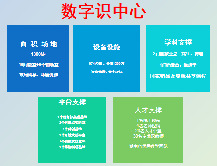 H动漫