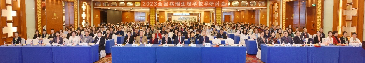 H动漫
